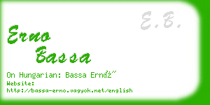 erno bassa business card